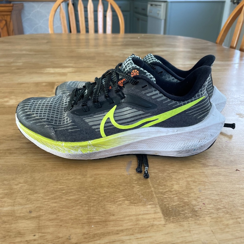 Nike Pegasus 39
